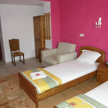 Guest house Emona 2*
